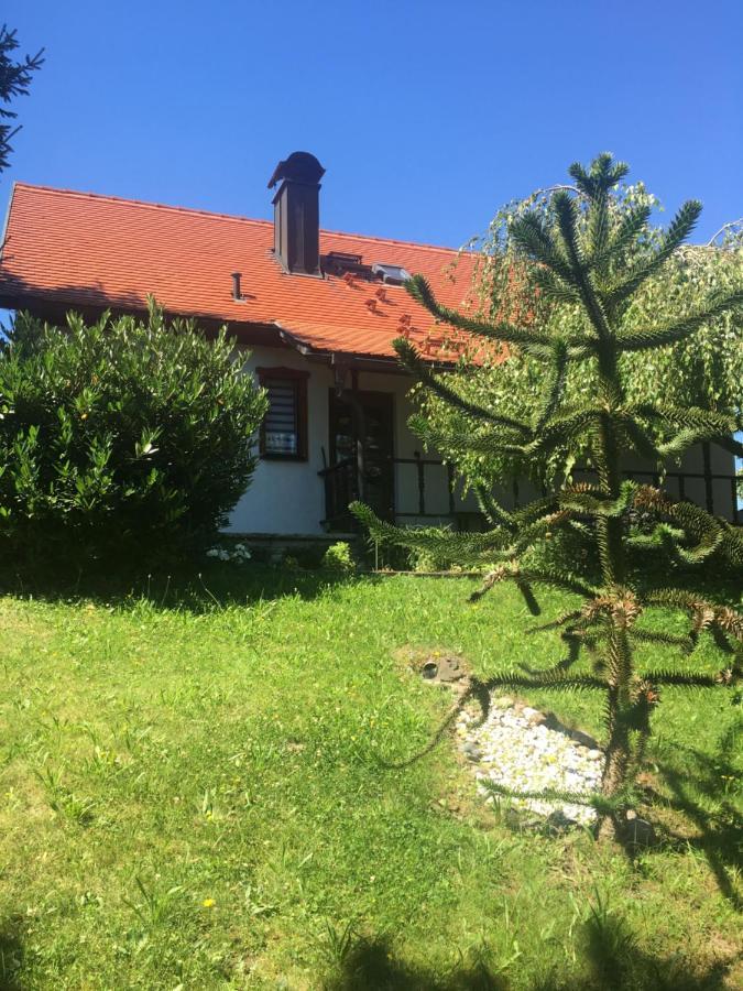 Villa Haus Bergblick Luftkurort Lückendorf Exterior foto